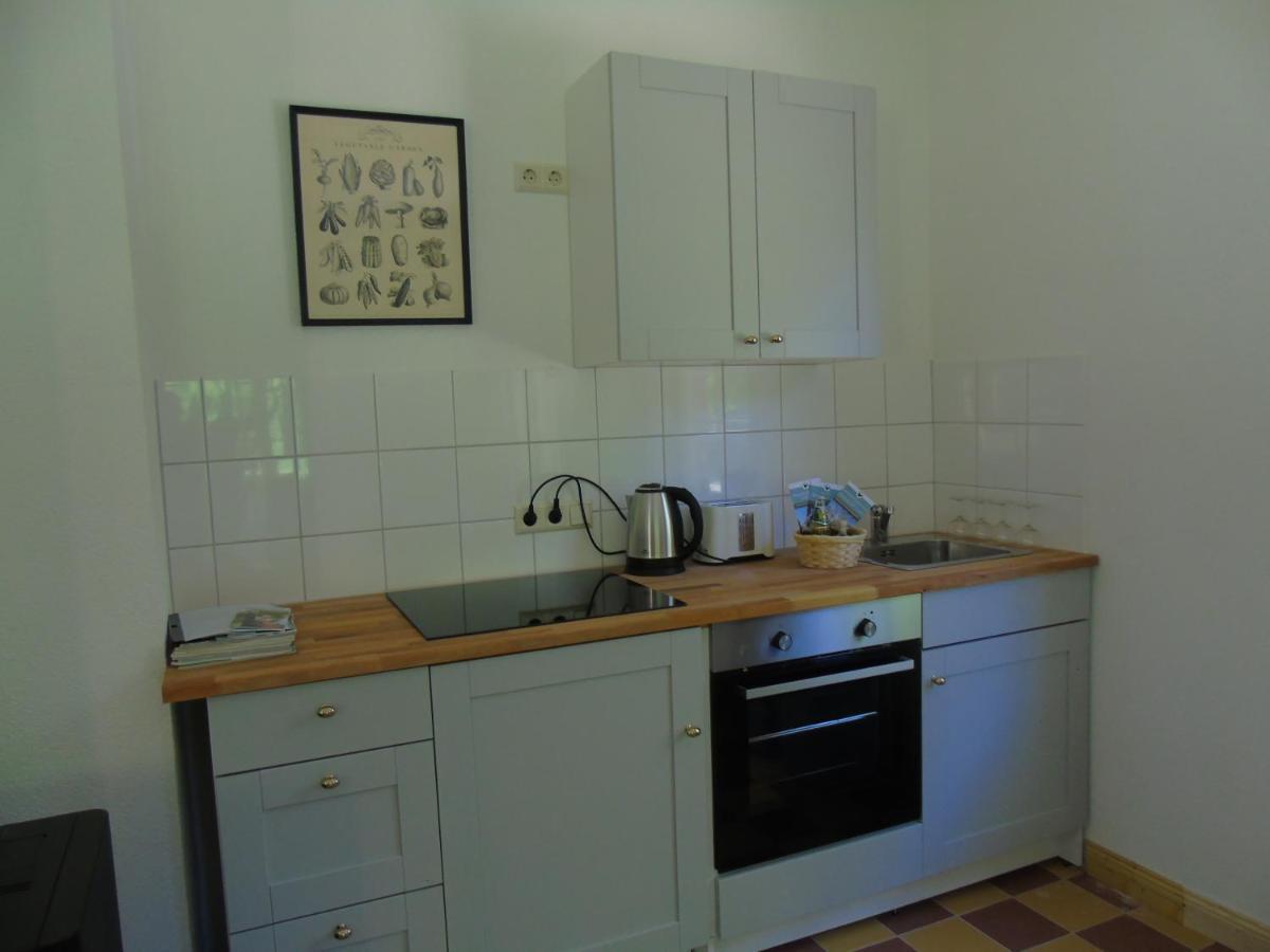 Schmiede Der Wasserburg Liepen Gielow Ngoại thất bức ảnh